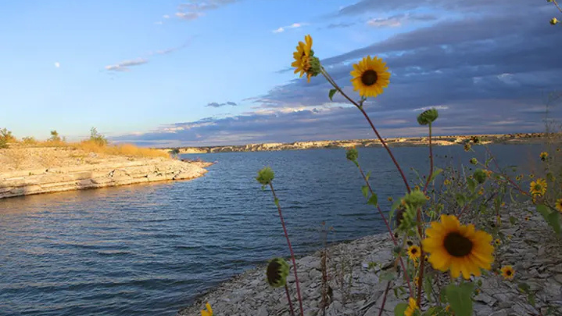 Pueblo Reservoir with wildflowers at sunset in Pueblo Colorado